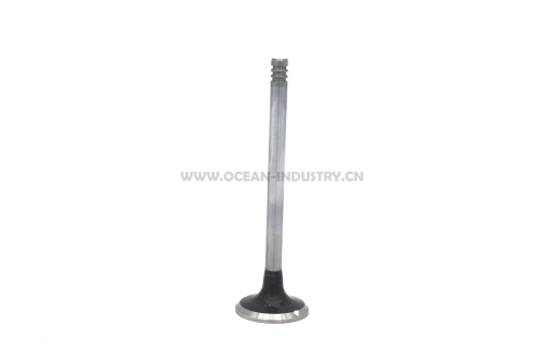 D6D Exhaust valve