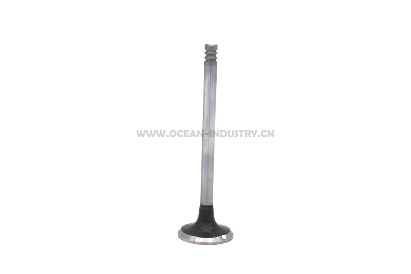 D6D Exhaust valve