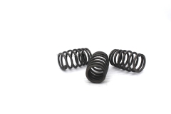 6D34 Valve spring outside