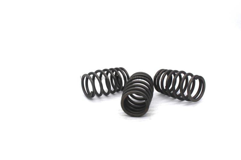 6D34 Valve spring outside