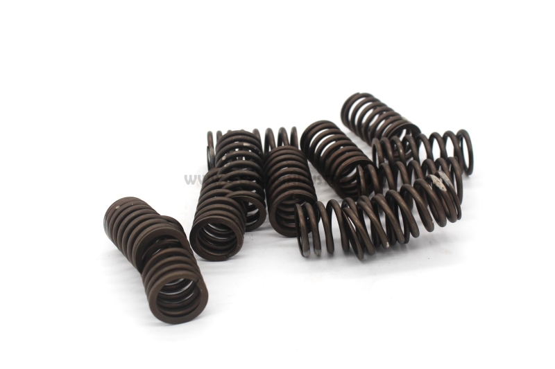 S6K Valve spring