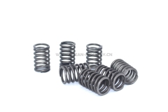 4TNV94 4TNV98 Valve spring