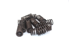 S6K Valve spring