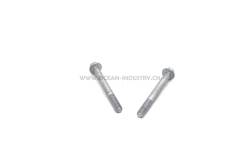D7D Rocker lever bolt