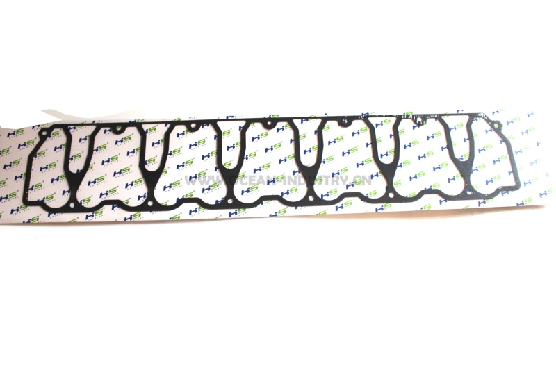 D6D Valve cover gasket