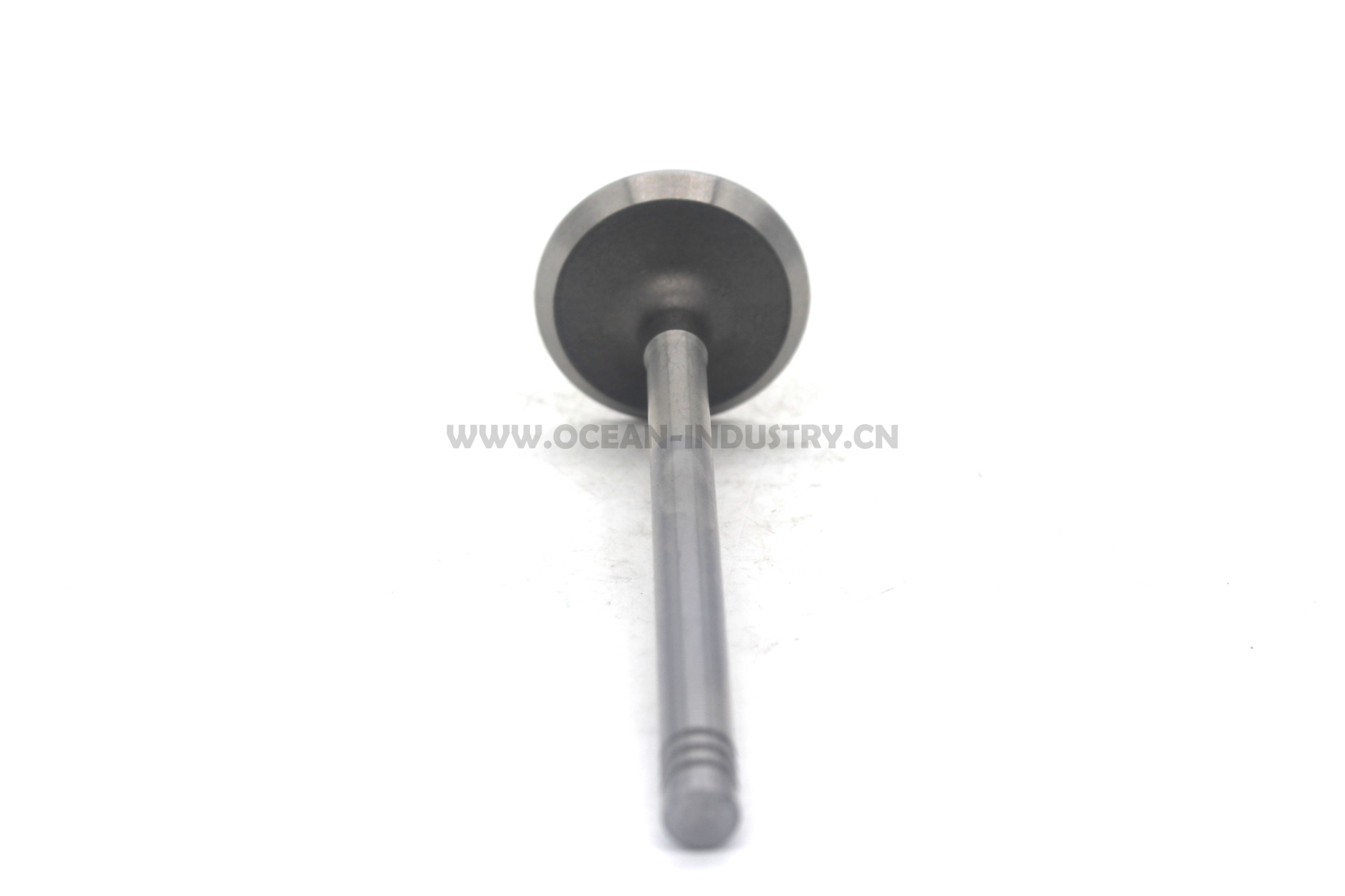 D6E Exhaust valve