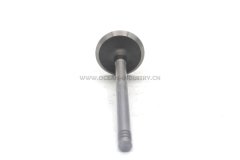 D6E Exhaust valve