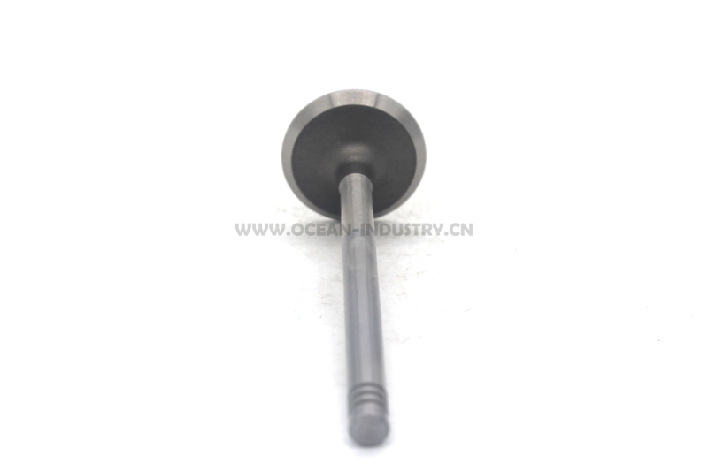 D6E Exhaust valve