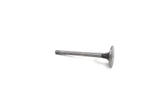 D6D Intake valve