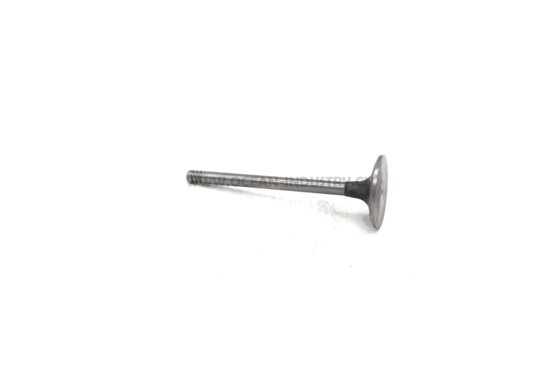 D6D Intake valve