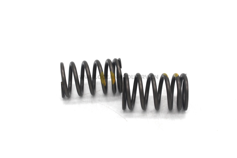 D6D Valve spring
