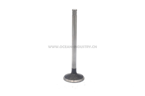 D7E Exhaust valve