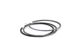 D6D D6E piston ring