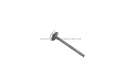 4TNV94 4TNV98 Intake valve
