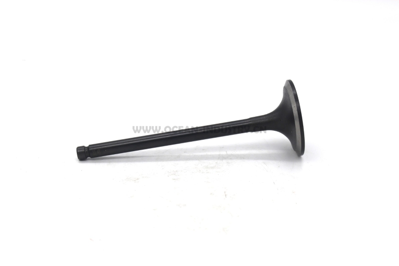 4995554 valve intake for 6BT 6D102