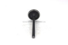 4995554 valve intake for 6BT 6D102