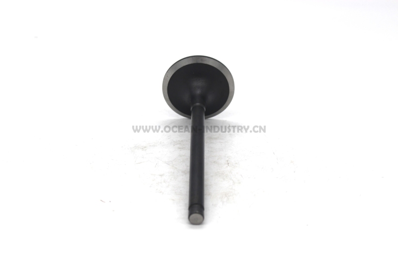 4995554 valve intake for 6BT 6D102