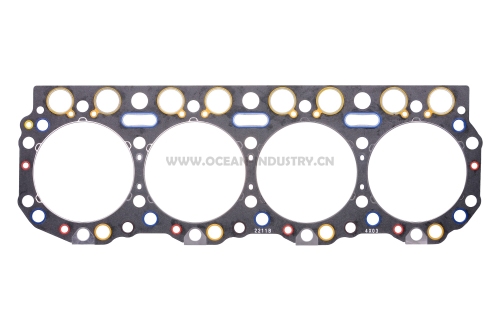 F20C-NK Head gasket