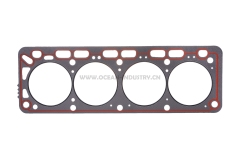 H25-NK Head gasket
