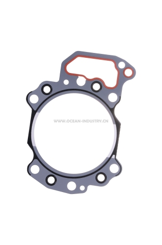 6D125-OLD-MLS Head gasket