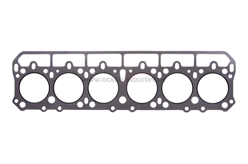 DM100-NK Head gasket