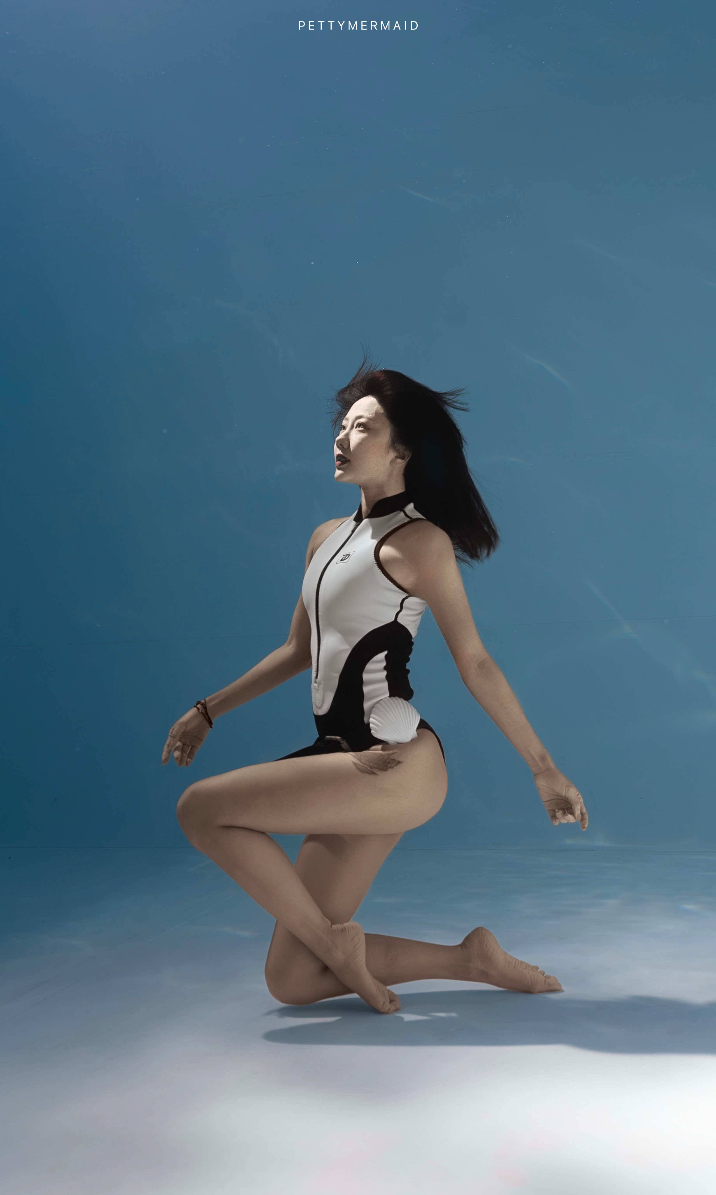 Trudive collections