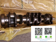 Fast delivery excavator engine parts D21P-3 D21P-6