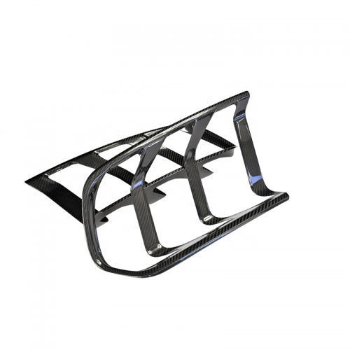 Cubierta de fibra de carbono para luz trasera (2015-2018)