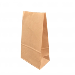 Kraft Food Bags