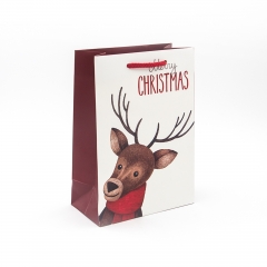 Shopping Gift Packaging Paper Bags