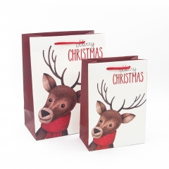 Shopping Gift Packaging Paper Bags