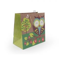 Shopping Gift Packaging Paper Bags