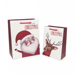 Shopping Gift Packaging Paper Bags