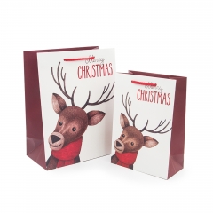 Shopping Gift Packaging Paper Bags