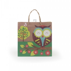 Shopping Gift Packaging Paper Bags