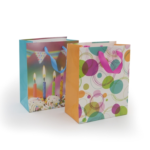 Shopping Gift Packaging Paper Bags