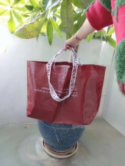 PP Woven shopping bags