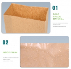 Disposable airsickness paper bags