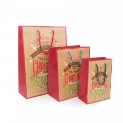 Gift Bags For Christmas
