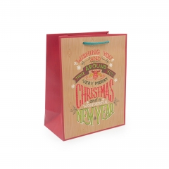 Gift Bags For Christmas
