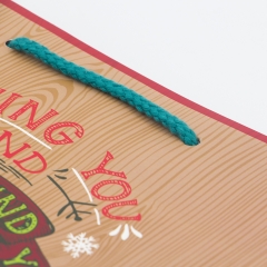 Gift Bags For Christmas