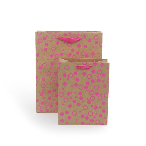 Kraft gift bag with ribbon