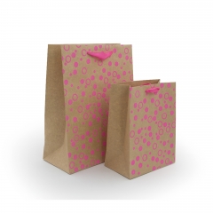 Kraft gift bag with ribbon