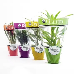 Transparent Plastic Flower Bag Bouquet Wrapping Bag