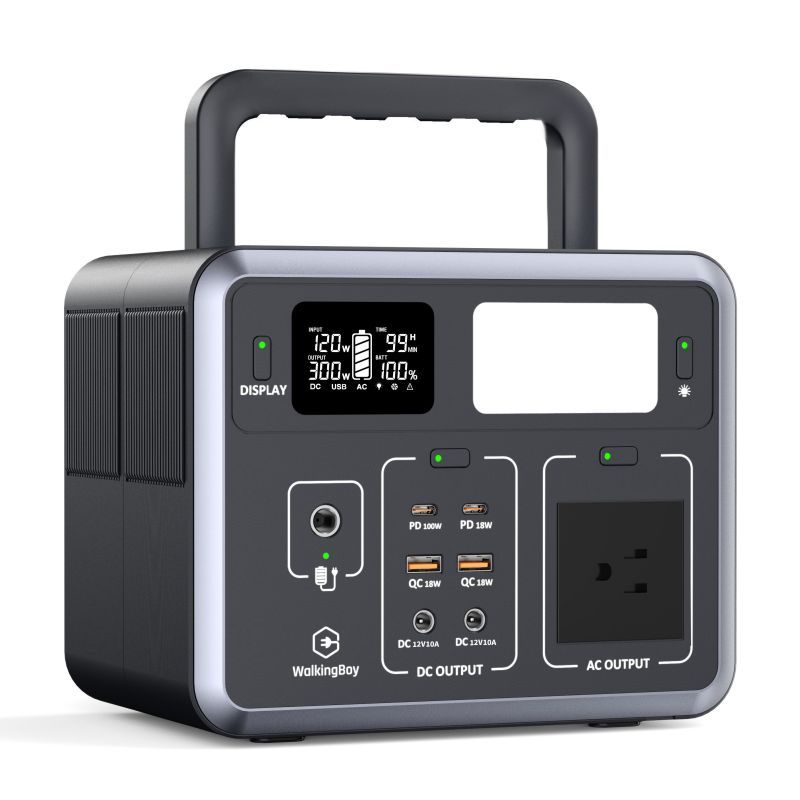 Lifepo4 バッテリー 110V 230V ポータブル電源 300W 500W 屋外緊急電源 キャンプ RV アウトドア用