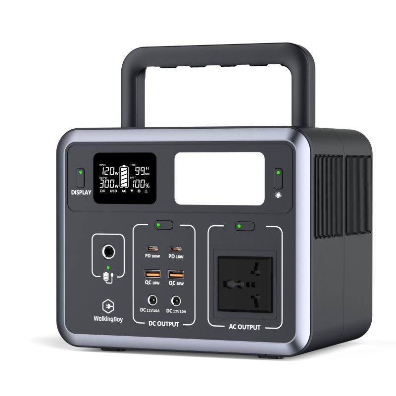 Lifepo4 バッテリー 110V 230V ポータブル電源 300W 500W 屋外緊急電源 キャンプ RV アウトドア用