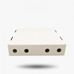 Eco-Friendly Pizza Box