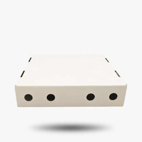 Eco-Friendly Pizza Box