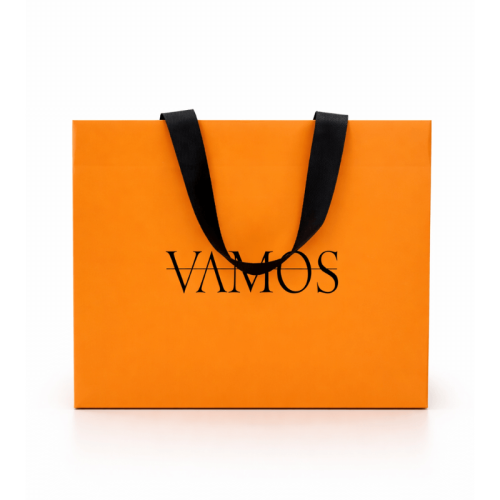Custom Ribbon Handle Paper Gift Bags with Logo