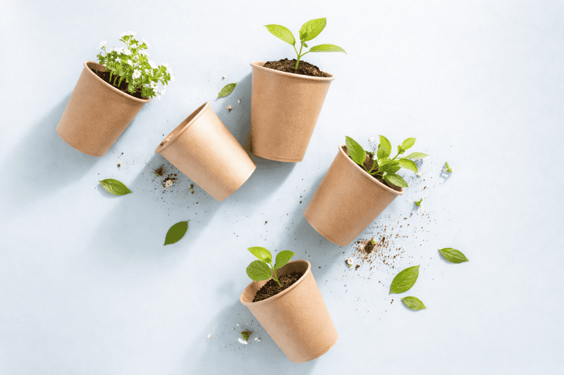 sustainable aqueous paper cups